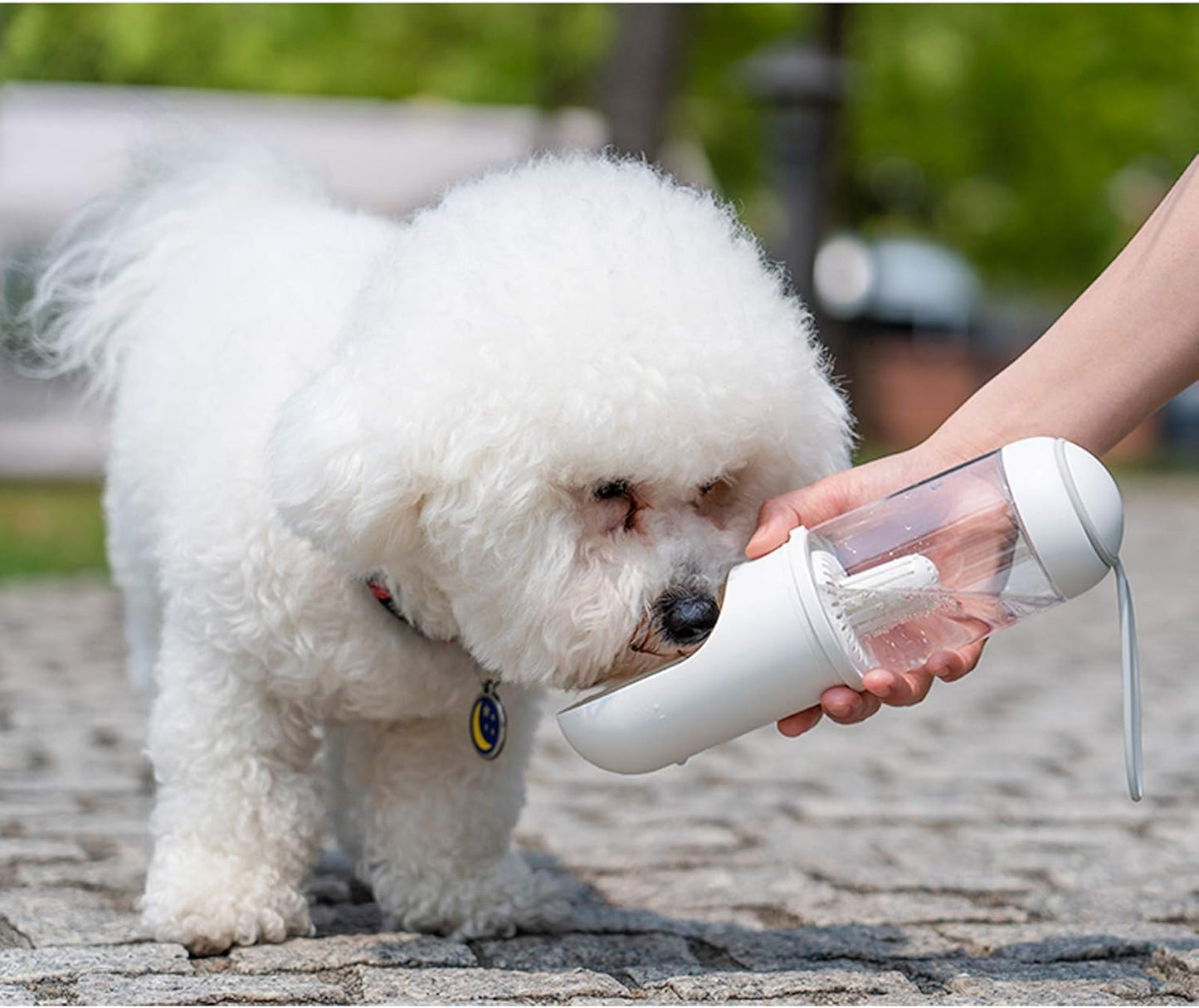 2-in-1 Portable Dog Water Bottle & Poop Bag Dispenser | Leak-Proof Travel Cup with Filter (One-Hand Use)
