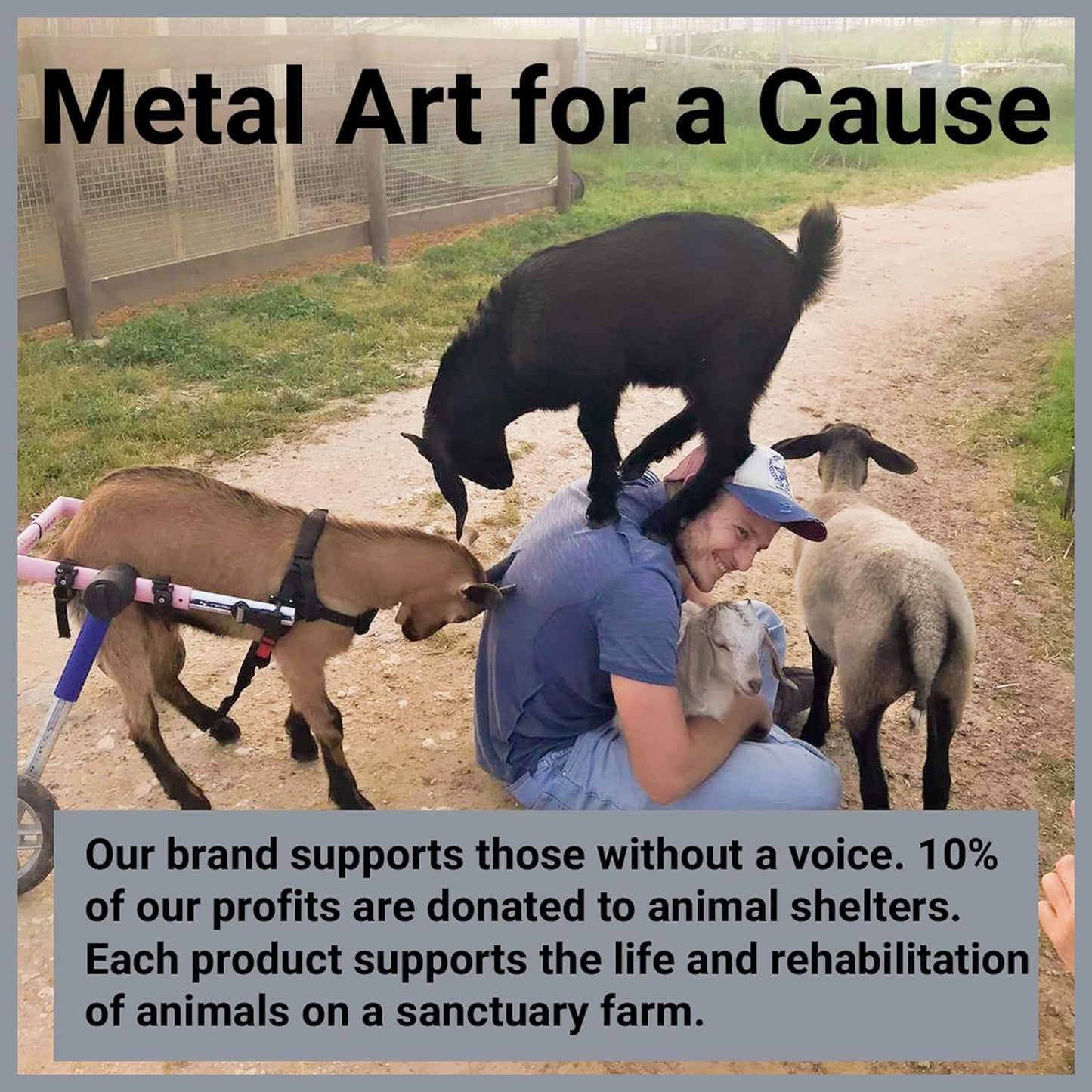 The "One-Line" Minimalist Dog Sculpture | 3D Metal Wall Art