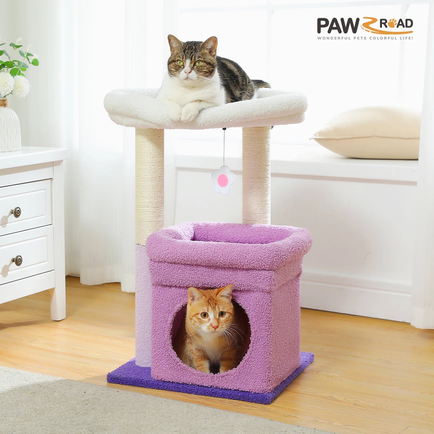 The "Cozy Corner" Compact Condo | Best for Kittens & Seniors (27")