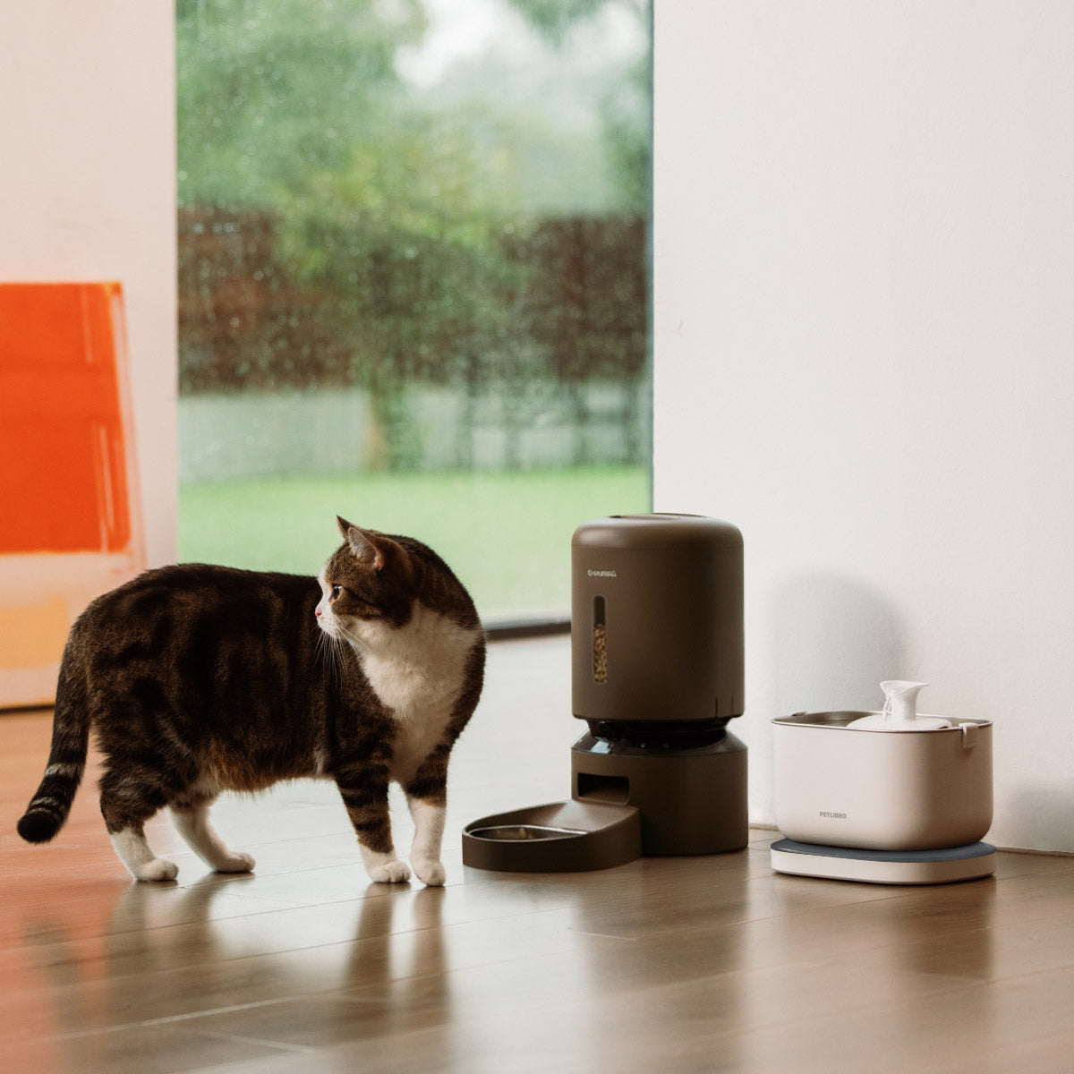 Petlibro Granary Smart Camera Automatic Pet Feeder