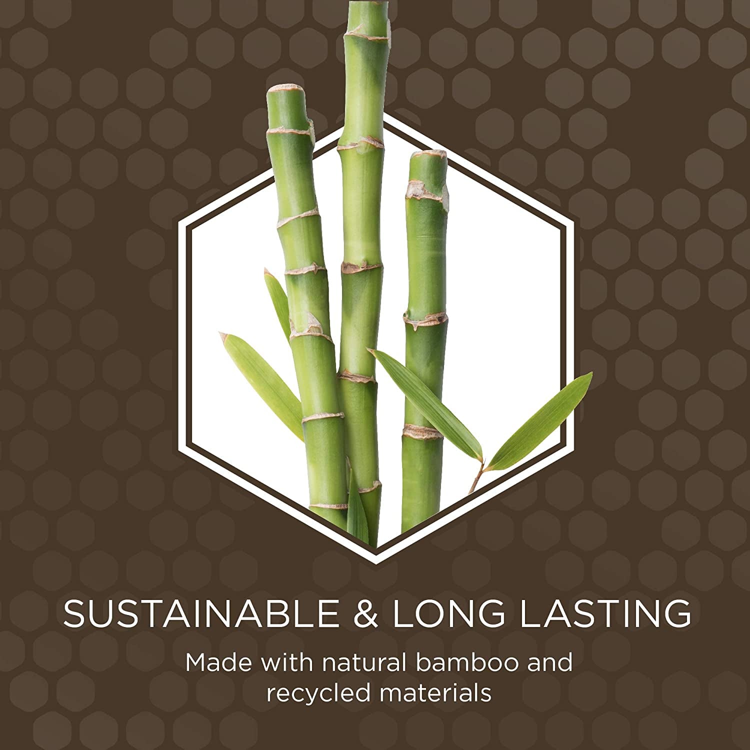 2-in-1 Bamboo Double Sided Cat Brush | Pin & Bristle Grooming Tool for Shedding & Detangling