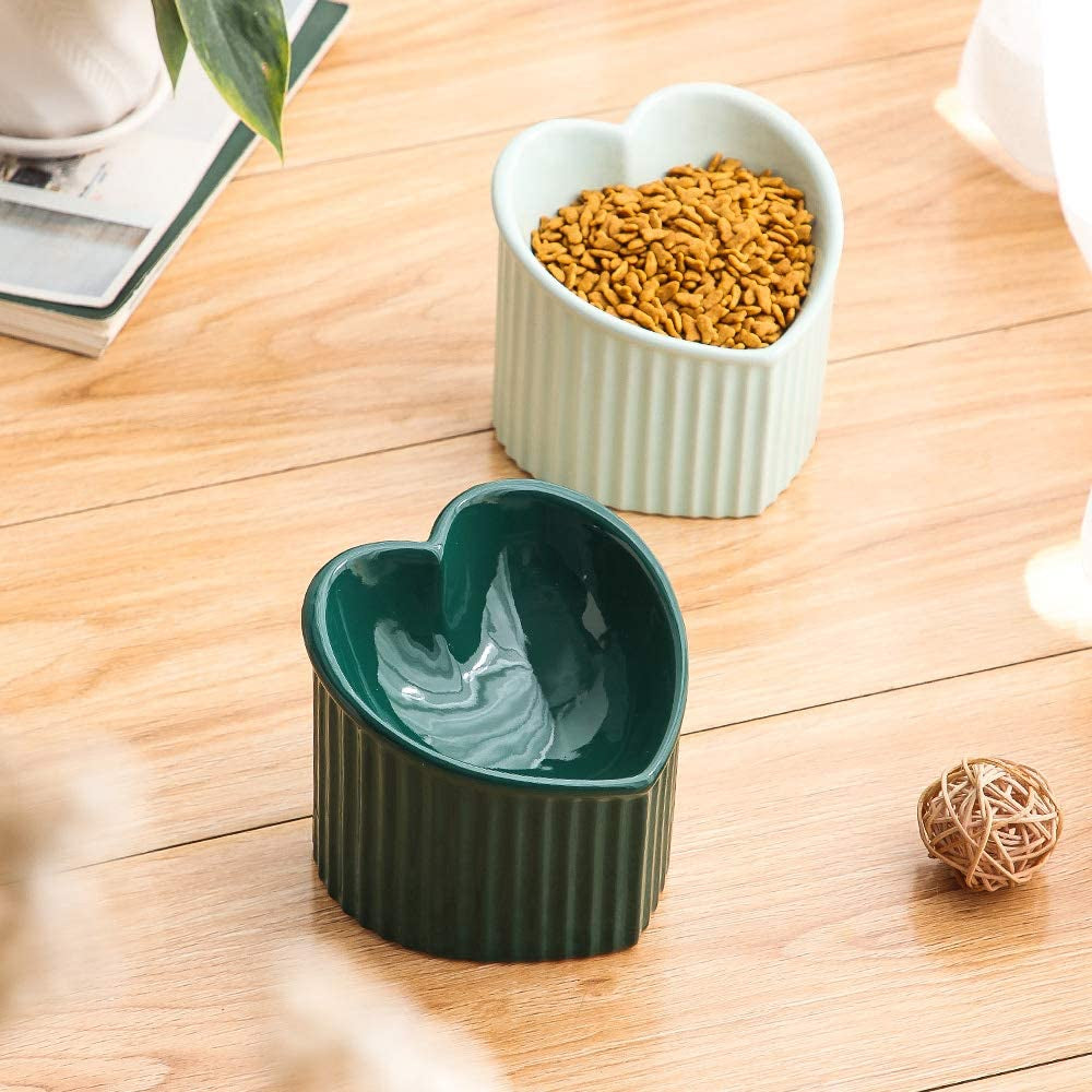 The "Anti-Vomit" Orthopedic Ceramic Bowl