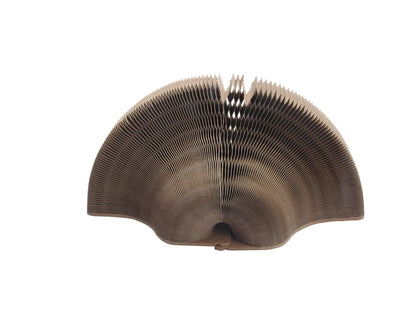 The "Magic Organ" Shape-Shifting Scratcher