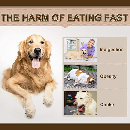 Anti-Gulping Slow Feeder Dog Bowl | Maze Puzzle Food Dish for Bloat Prevention & Healthy Digestion