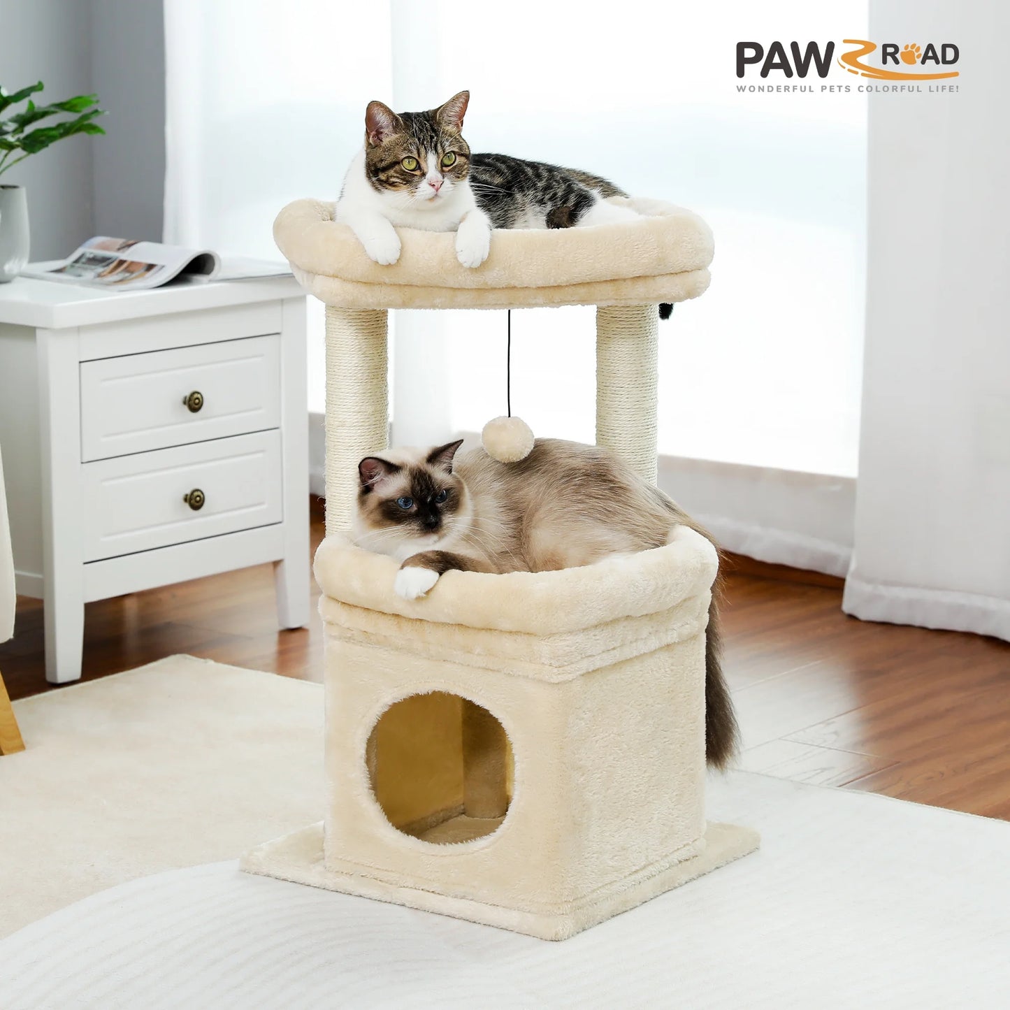 The "Cozy Corner" Compact Condo | Best for Kittens & Seniors (27")