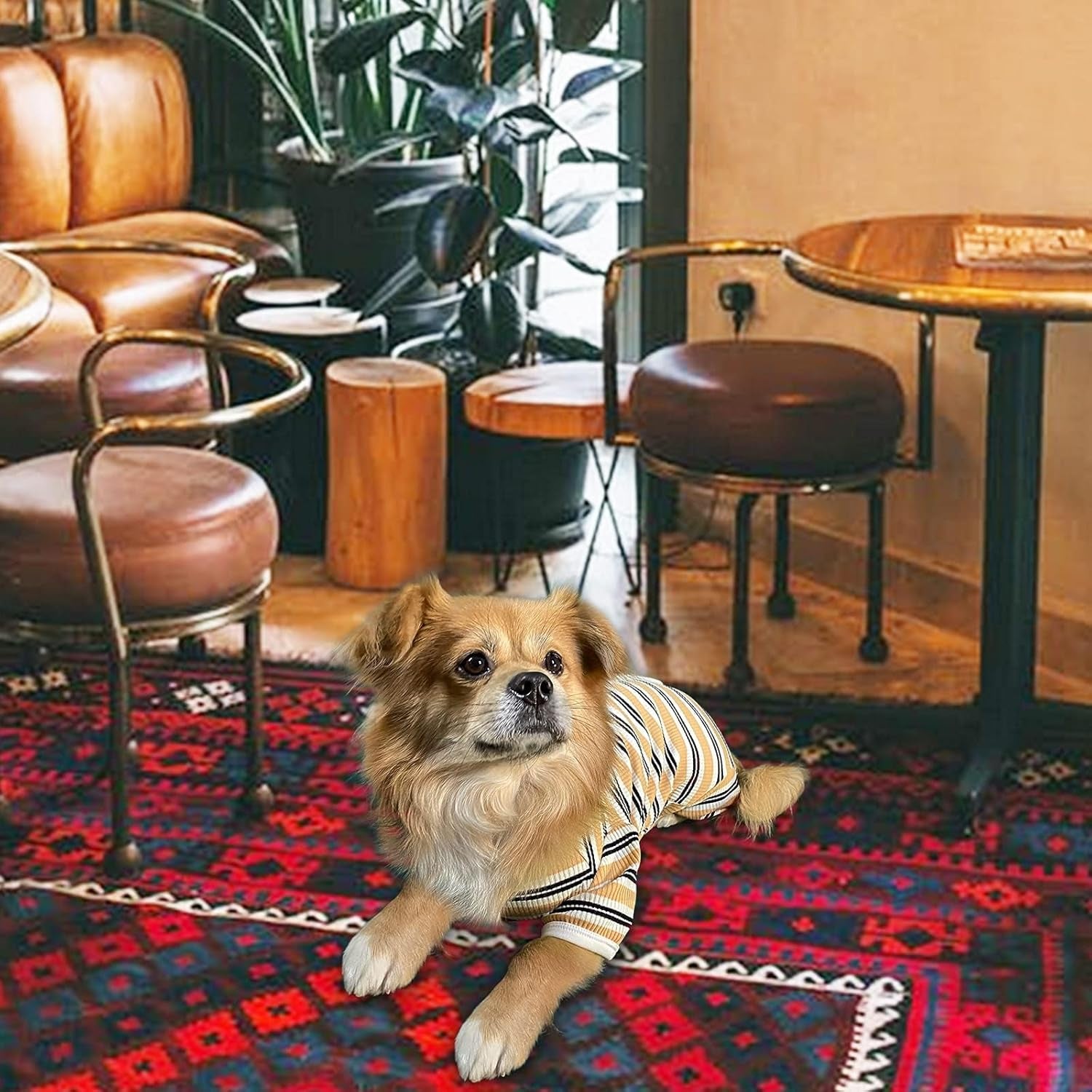 Full-Cover Soft Dog Pajamas