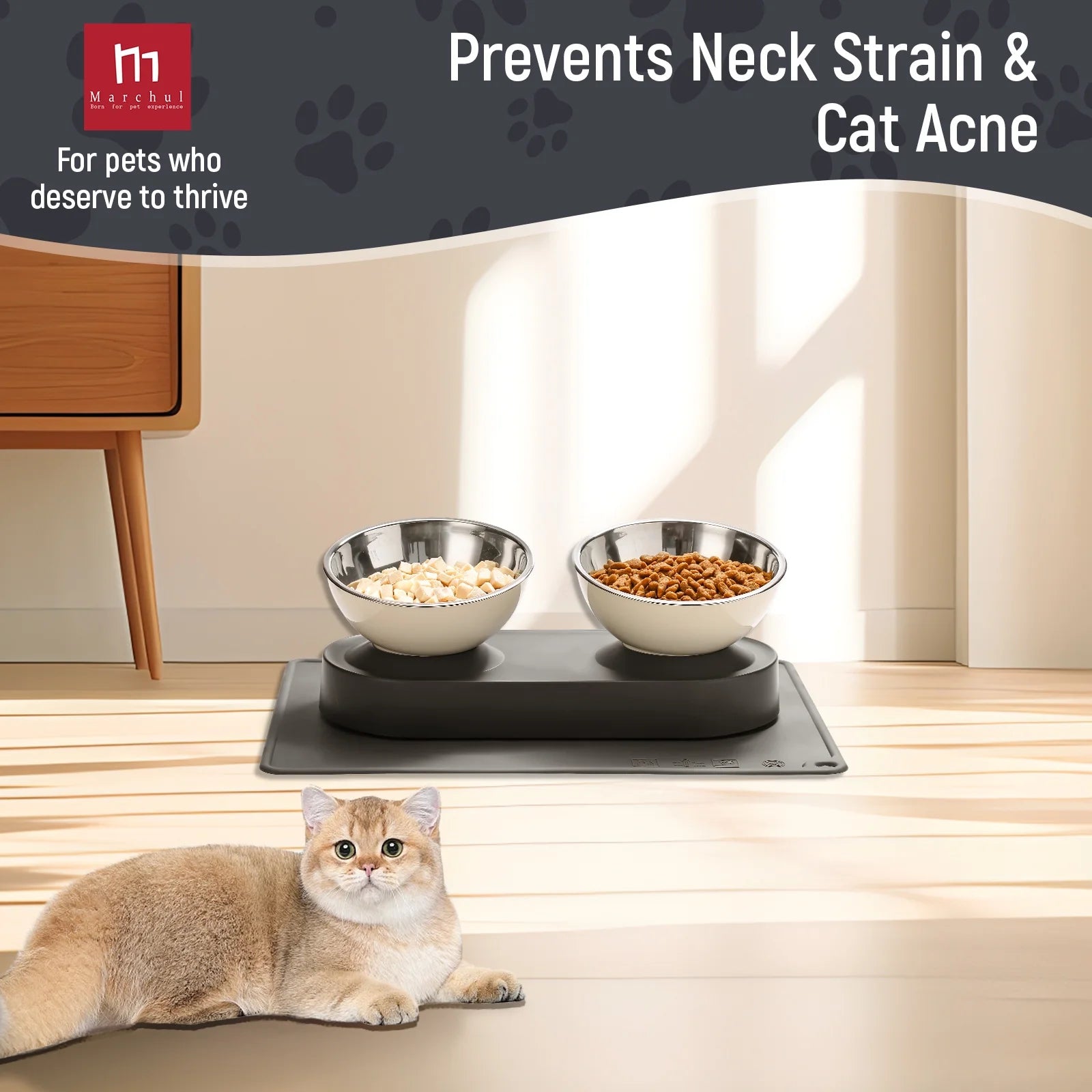 The "Anti-Vomit" Elevated Bowl Set (Stainless Steel)