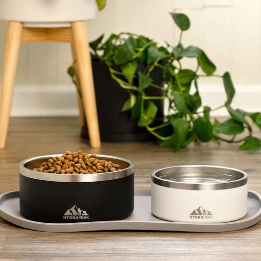 Aesthetic Matte Heavy dog Bowl (Double-Wall Stainless)