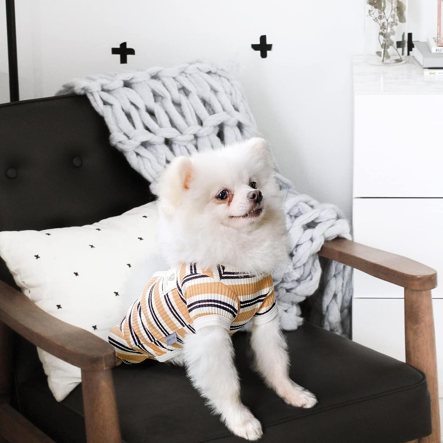 Full-Cover Soft Dog Pajamas