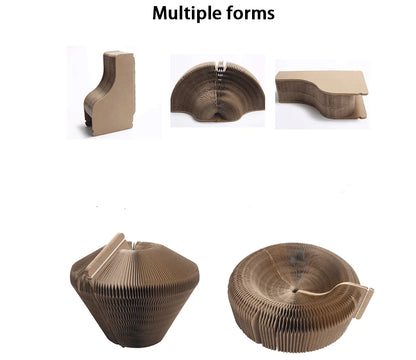 The "Magic Organ" Shape-Shifting Scratcher