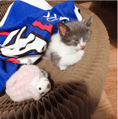 The "Magic Organ" Shape-Shifting Scratcher