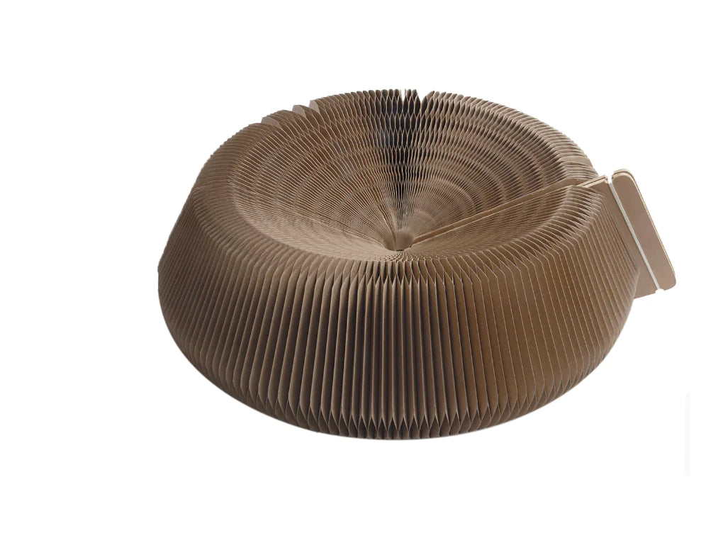 The "Magic Organ" Shape-Shifting Scratcher